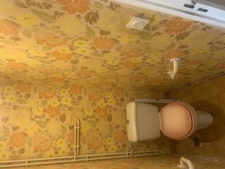 Avant - Rénovation WC
