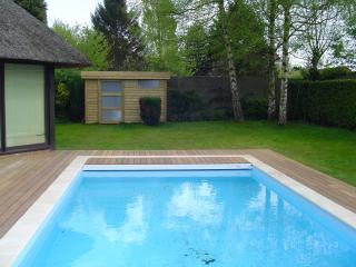 Miniature terrasse IPE autour d'une piscine