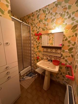 Avant - Transformation d'une Salle d'eau en Buanderie